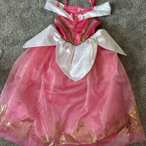 Disney Pink and Gold Princess Dress